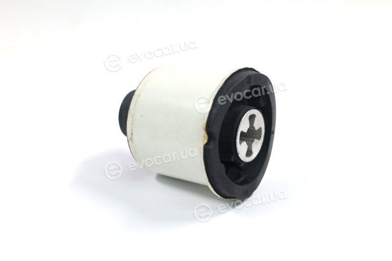 Sasic 2604002