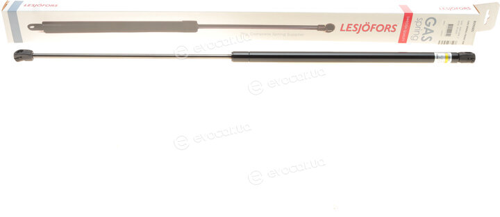 Lesjofors 8095005