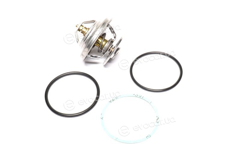 Mahle TX 23 79D
