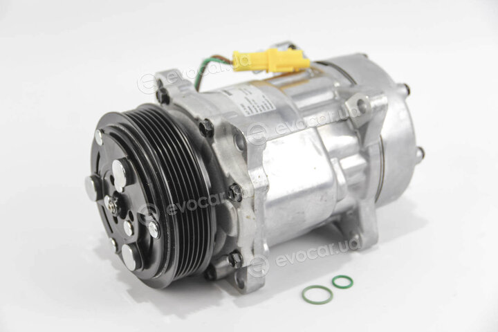 Mahle ACP 29 000S