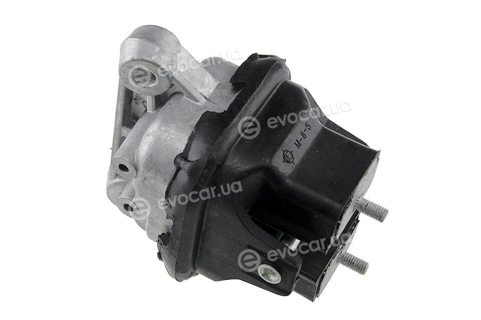 NTY ZPS-CH-022