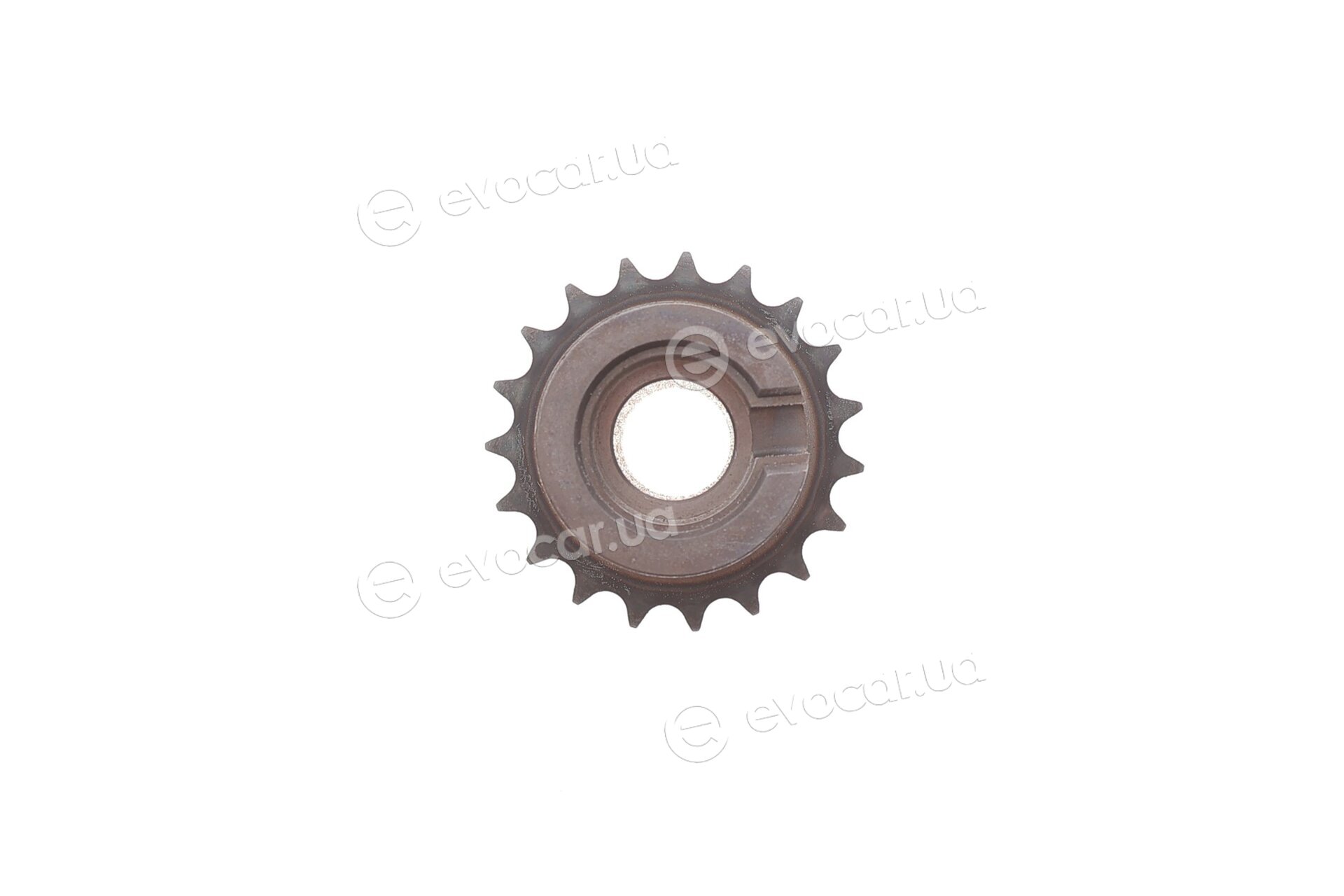 Motive TCK55
