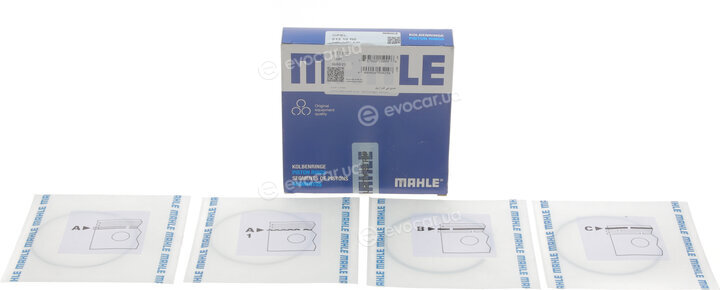 Mahle 012 10 N0