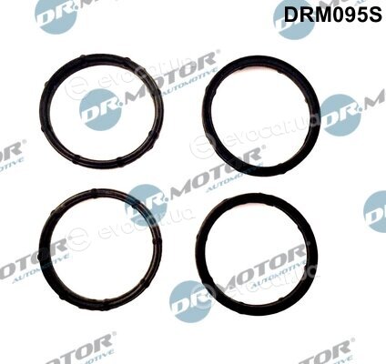 Dr. Motor DRM095S