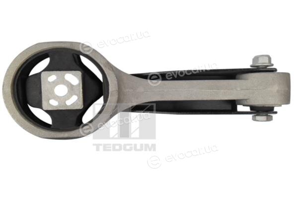 Tedgum 00726711