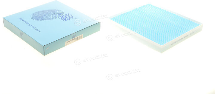 Blue Print ADBP250008