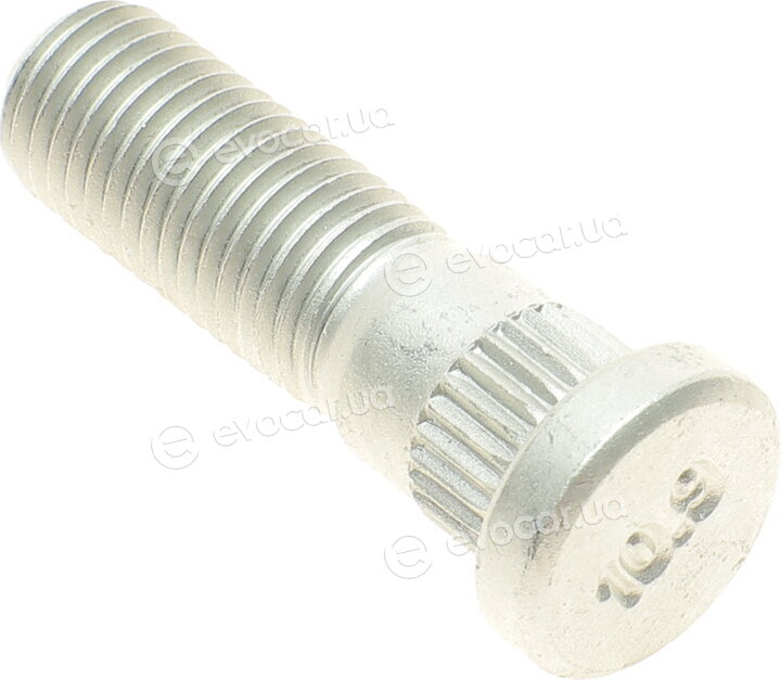 AIC 54531