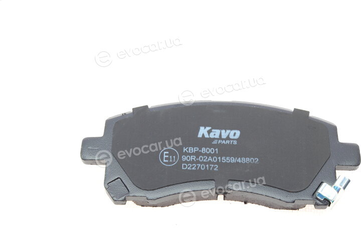 Kavo KBP-8001