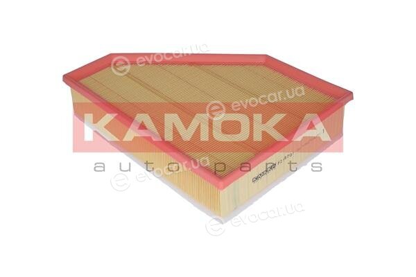 Kamoka F219701