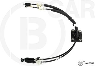 BCAR 001FT895