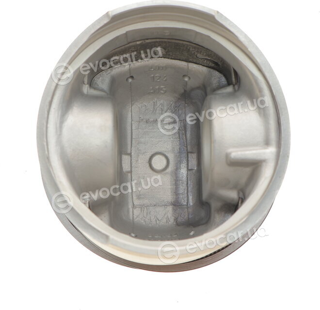 Mahle 029 55 02