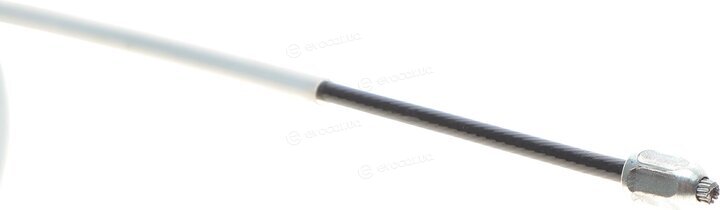 Solgy 219015