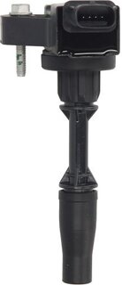Beru ZSE234