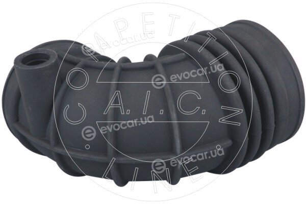 AIC 58200