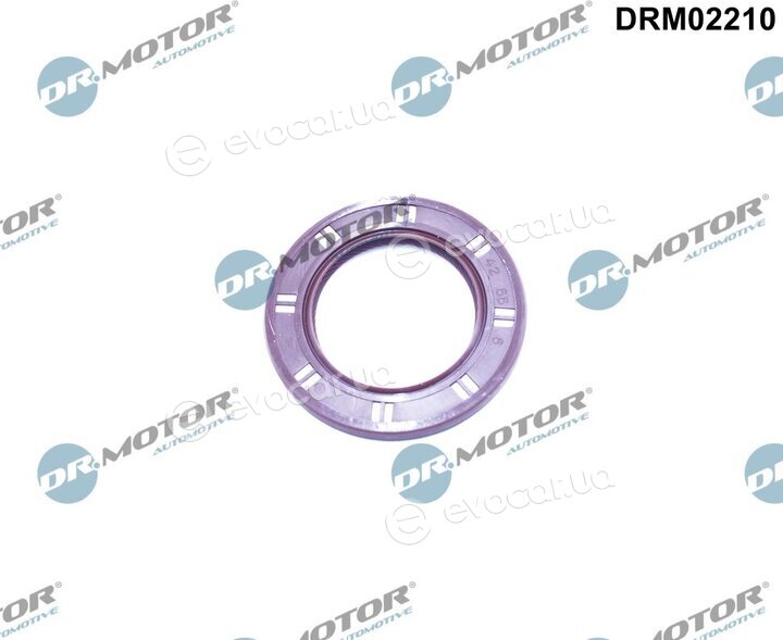 Dr. Motor DRM02210