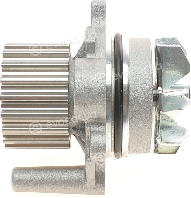 Continental CT1051WP1