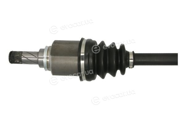 Pascal G2M041PC