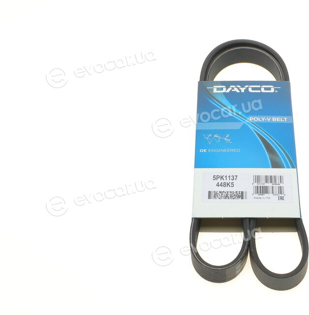 Dayco 5PK1137