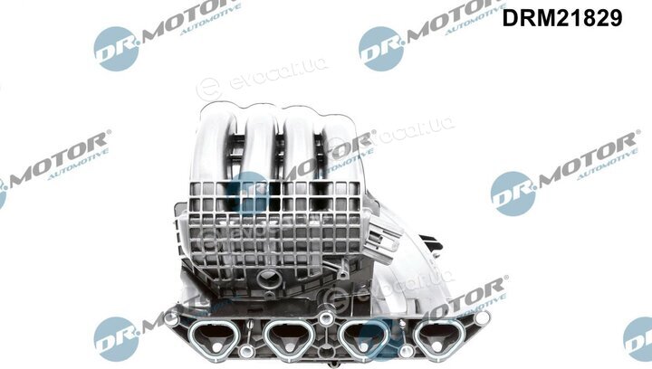 Dr. Motor DRM21829