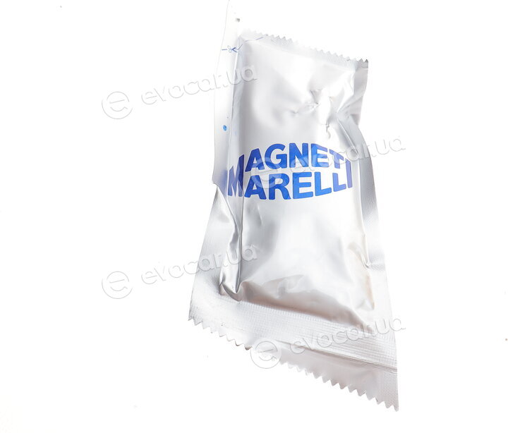 Magneti Marelli 302015100009