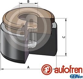 Autofren D025731