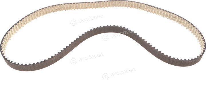 Dayco KTBWP12400