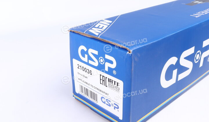GSP 210036