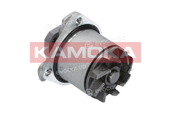Kamoka T0138