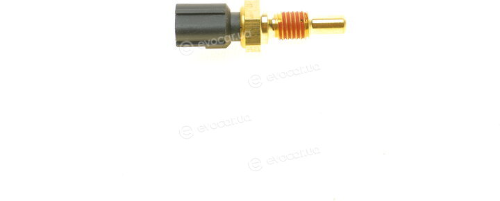 AIC 55801