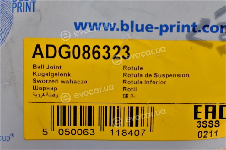 Blue Print ADG086323