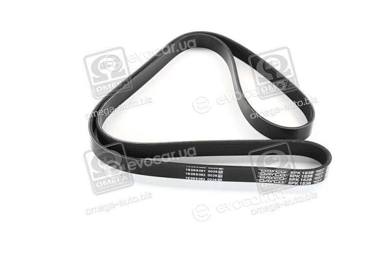 Dayco 6PK1538