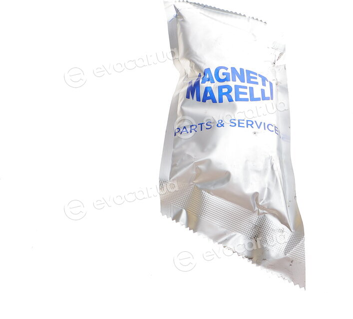 Magneti Marelli 302015100025