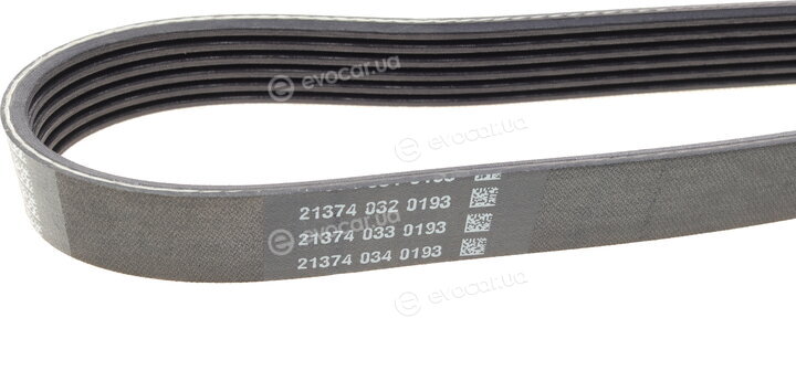 Dayco 6PK1744