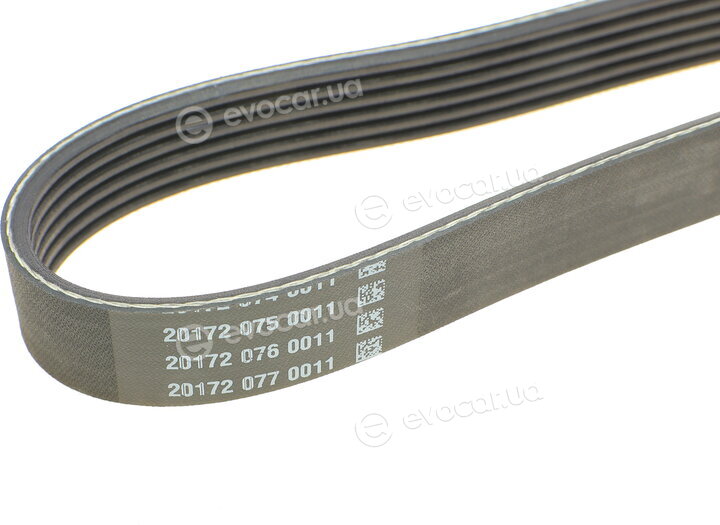 Dayco 6PK1755