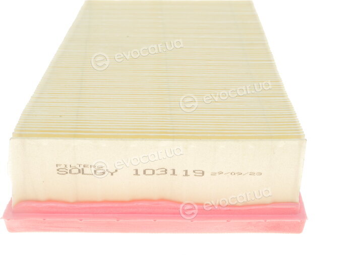 Solgy 103119