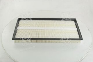 Champion CAF100788P