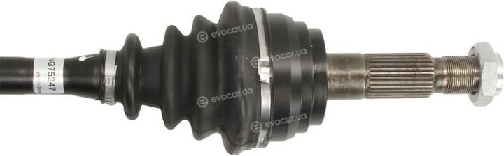 Point Gear PNG75247