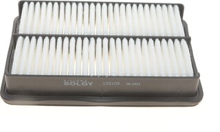 Solgy 103109