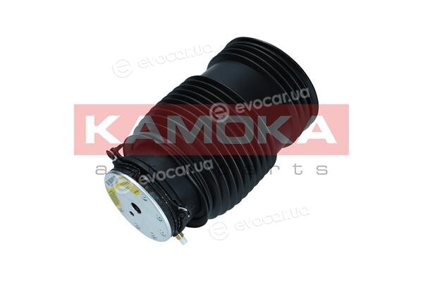 Kamoka 2079048