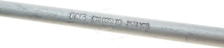 FAG 818 0063 10