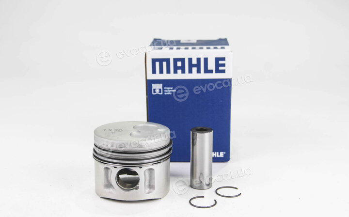 Mahle 029 82 00