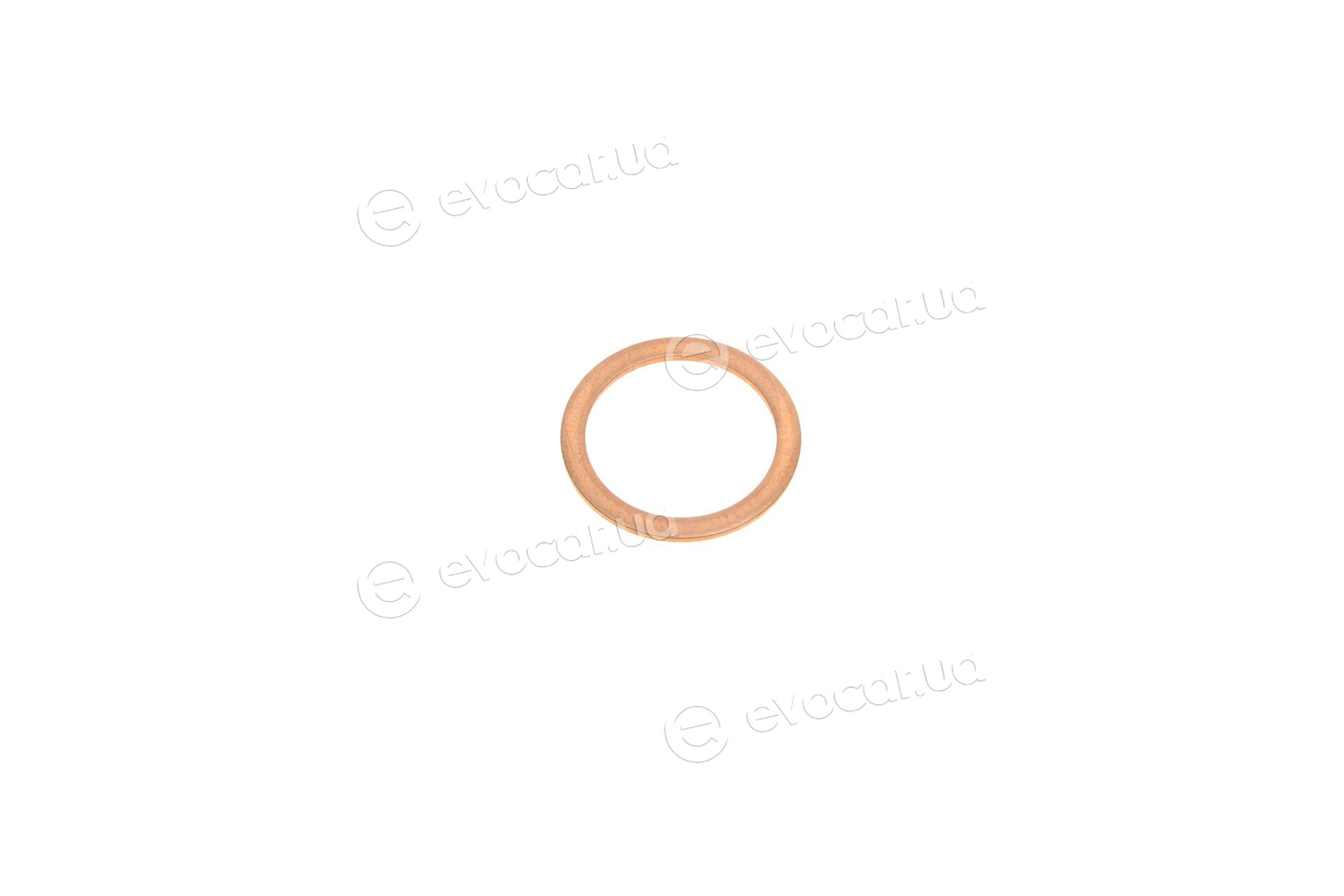 Elring 587.300
