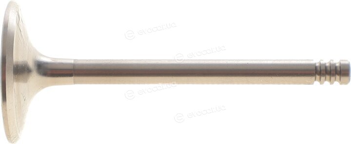 AMP PSKO019-S-0-N