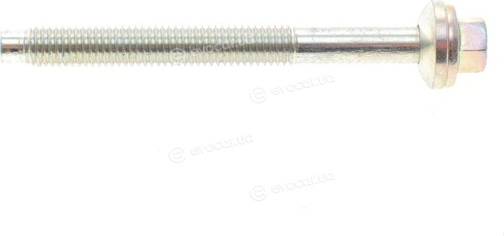 Rotweiss RWS3885