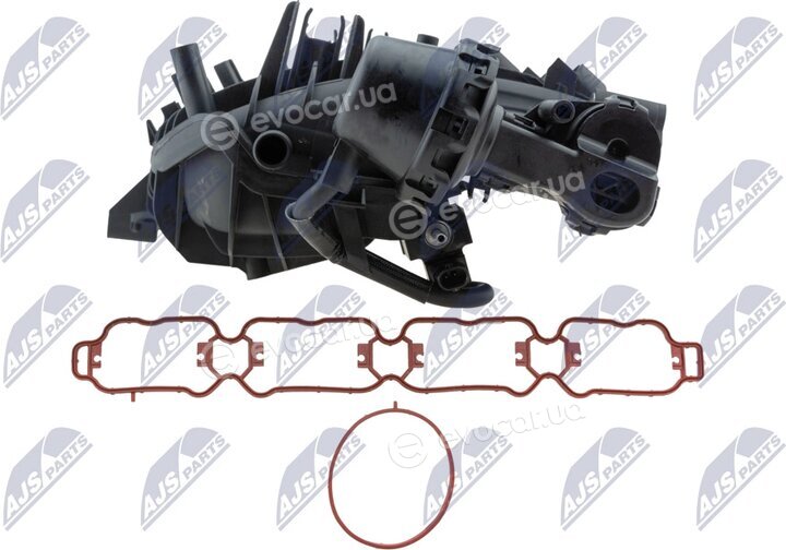 NTY BKS-VW-030