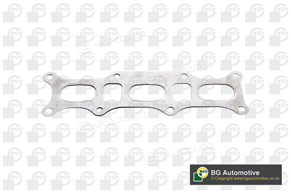 BGA MG0116