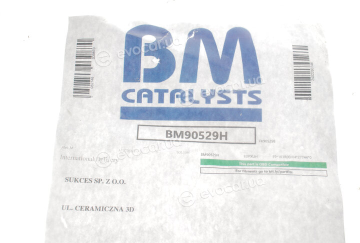 BM Catalysts BM90529H