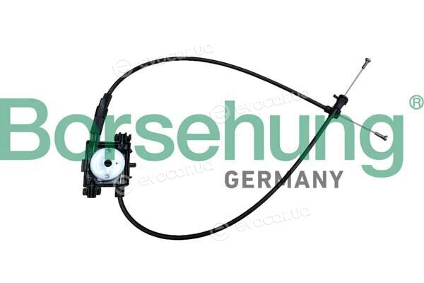 Borsehung B10779