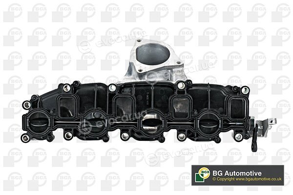 BGA MG01010