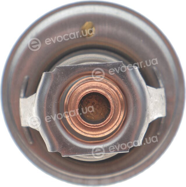 Motorad 565-74K